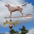 Labrador Copper Weathervane 154