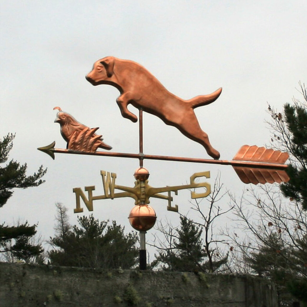 Large Labrador and Quail 361 Copper Tops of New Hampshire