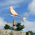 Cardinal Copper Weathervane 136