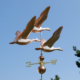 Flying Ducks Copper Weathervane 746